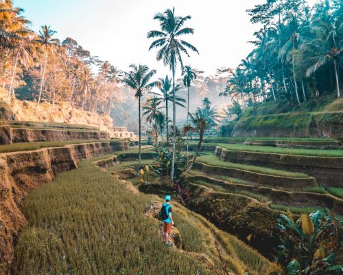 Bali - Maldivas