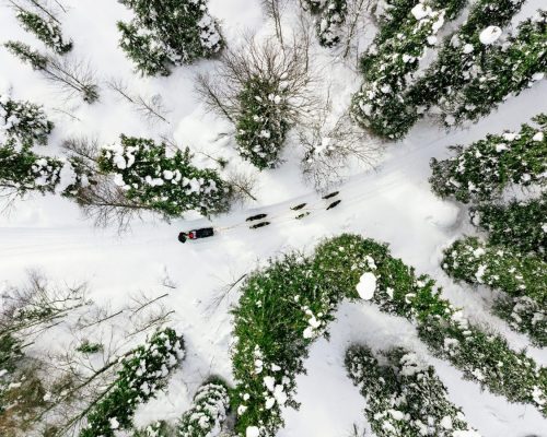 Aerial view of sledding with husky dogs in Lapland Finland. Drone photography from above